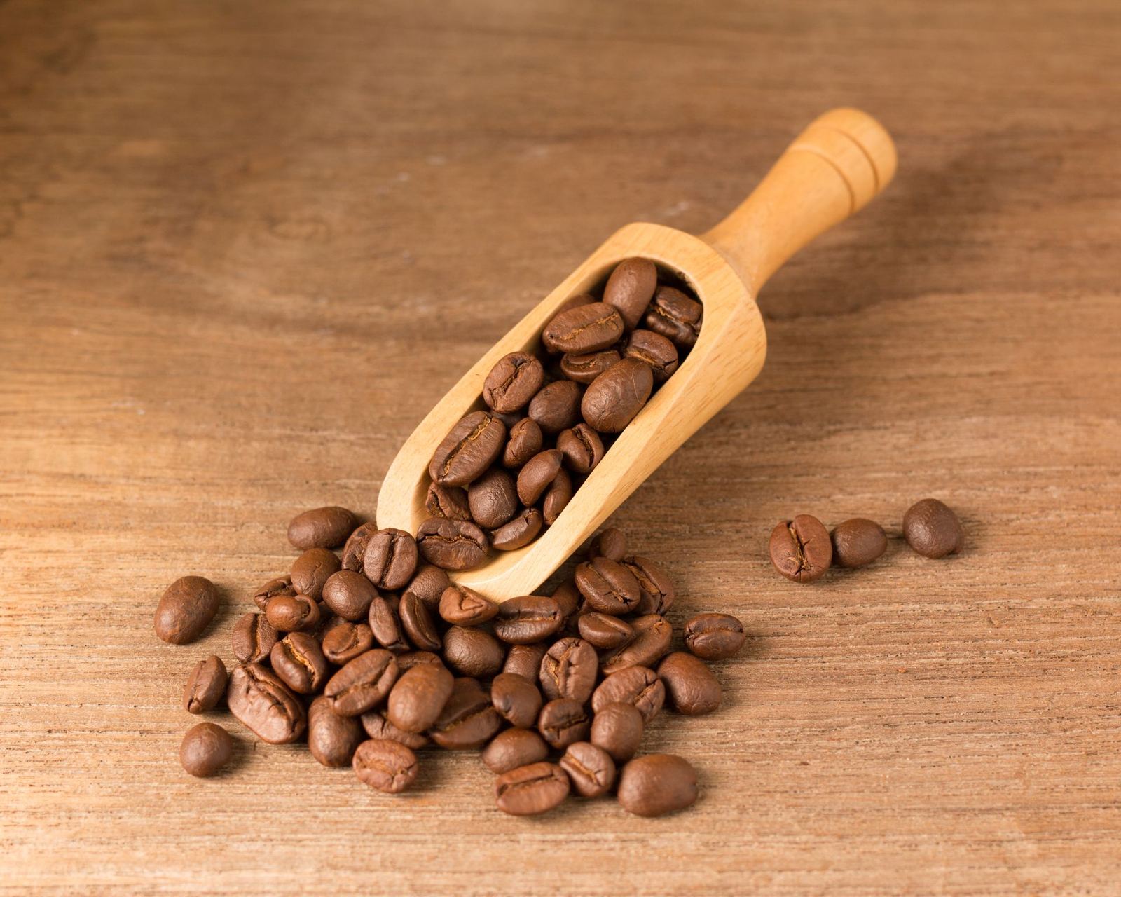 Közel Espresso No.1